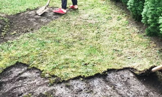 Снятие дерна старого газона в Санкт-Петербурге – от 527 руб. | ГОСТСТРОЙ